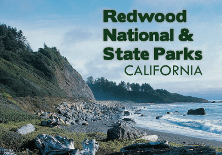 National Park Brochure Design
