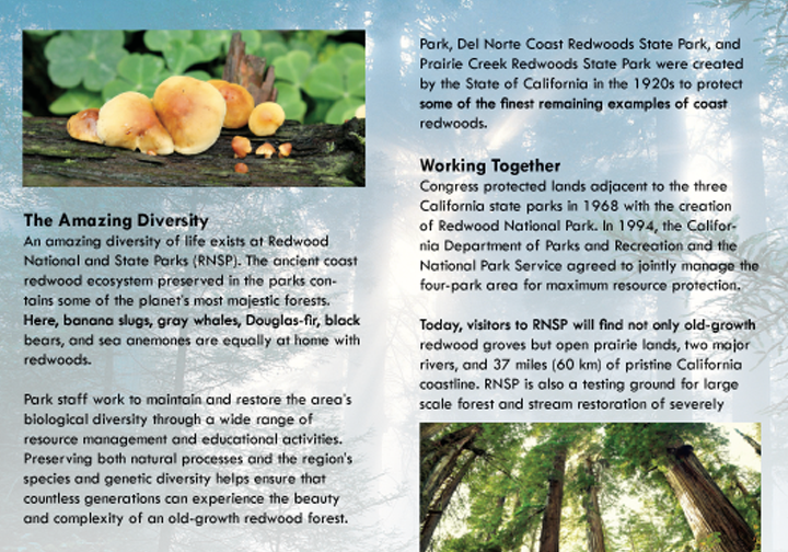 National Park Brochure Design